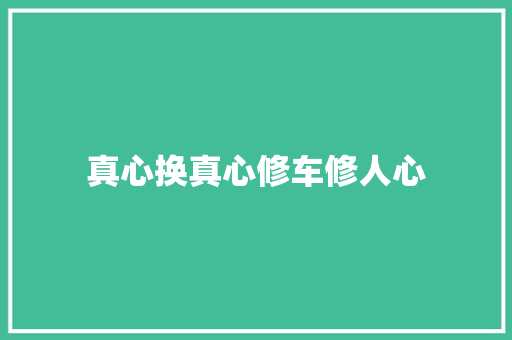 真心换真心修车修人心