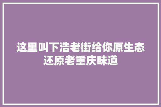 这里叫下浩老街给你原生态还原老重庆味道