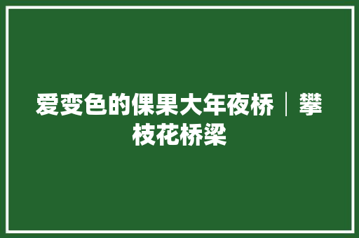 爱变色的倮果大年夜桥│攀枝花桥梁