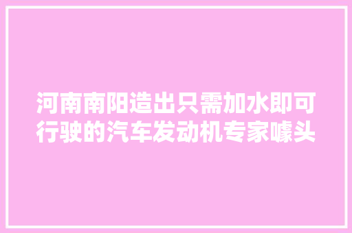 河南南阳造出只需加水即可行驶的汽车发动机专家噱头