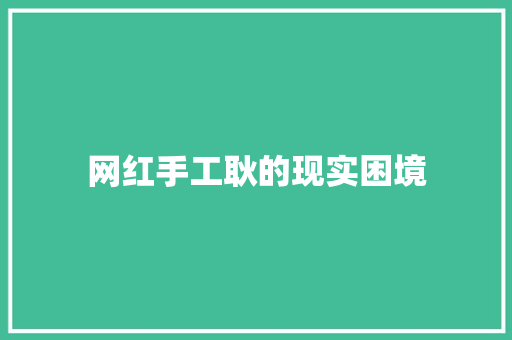 网红手工耿的现实困境