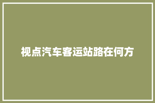 视点汽车客运站路在何方