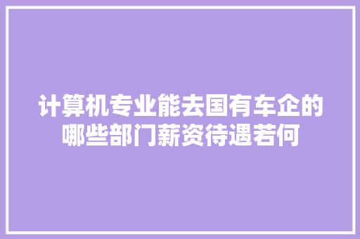 计算机专业能去国有车企的哪些部门薪资待遇若何 汽车知识