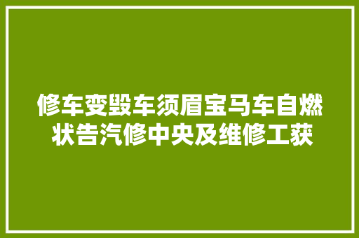 修车变毁车须眉宝马车自燃 状告汽修中央及维修工获赔26万
