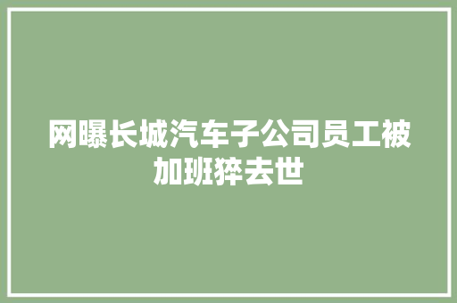 网曝长城汽车子公司员工被加班猝去世