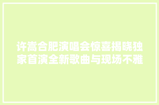 许嵩合肥演唱会惊喜揭晓独家首演全新歌曲与现场不雅观众合营创造音乐 休闲娱乐