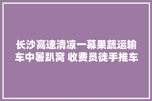 长沙高速清凉一幕果蔬运输车中暑趴窝 收费员徒手推车施救