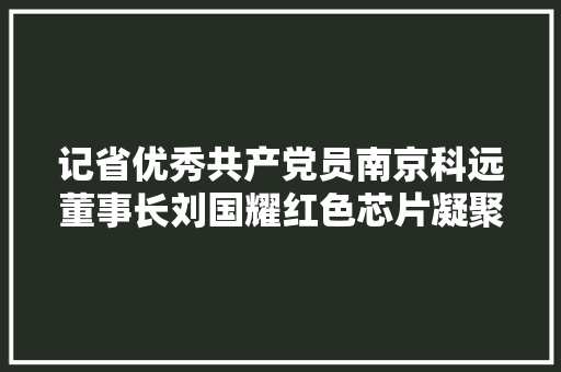 记省优秀共产党员南京科远董事长刘国耀红色芯片凝聚立异精气神