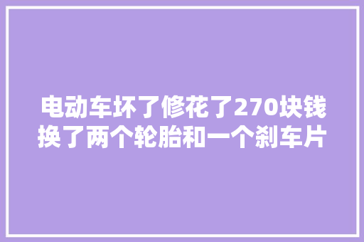 电动车坏了修花了270块钱换了两个轮胎和一个刹车片