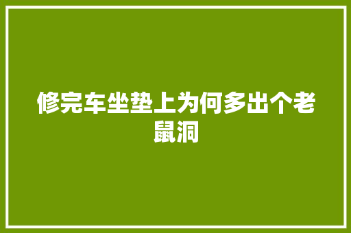 修完车坐垫上为何多出个老鼠洞