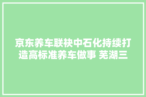 京东养车联袂中石化持续打造高标准养车做事 芜湖三店同时开业