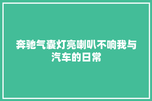 奔驰气囊灯亮喇叭不响我与汽车的日常