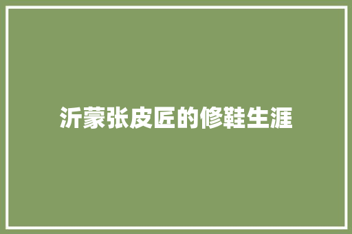 沂蒙张皮匠的修鞋生涯