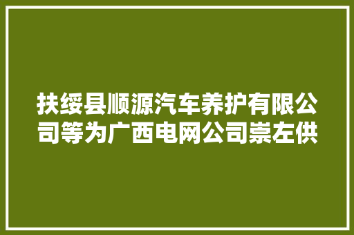扶绥县顺源汽车养护有限公司等为广西电网公司崇左供电局相关项目中标候选人 汽车知识