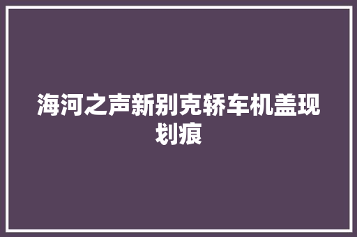 海河之声新别克轿车机盖现划痕