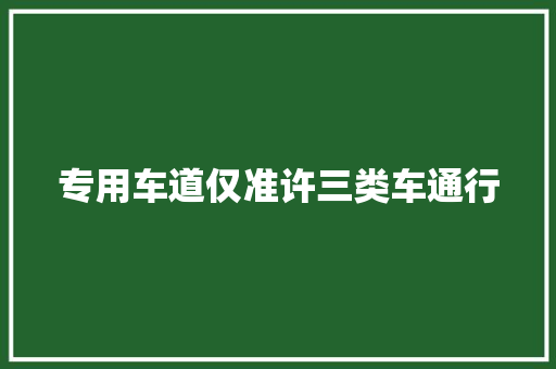 专用车道仅准许三类车通行