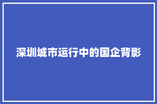 深圳城市运行中的国企背影