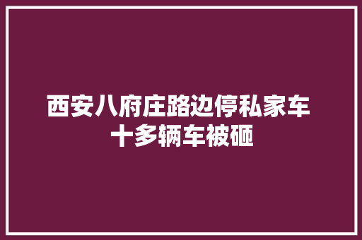 西安八府庄路边停私家车 十多辆车被砸