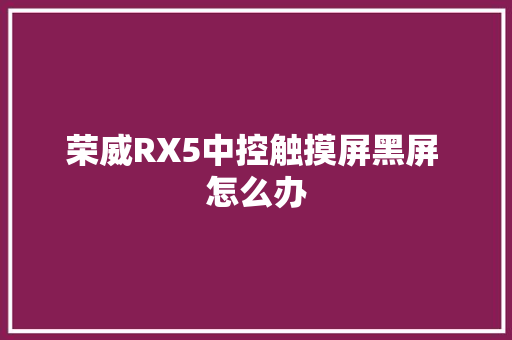 荣威RX5中控触摸屏黑屏 怎么办