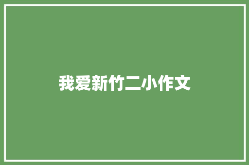 我爱新竹二小作文