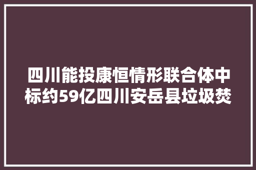 四川能投康恒情形联合体中标约59亿四川安岳县垃圾焚烧发电项目