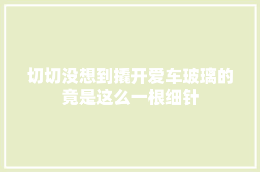 切切没想到撬开爱车玻璃的竟是这么一根细针