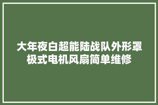 大年夜白超能陆战队外形罩极式电机风扇简单维修 汽车知识