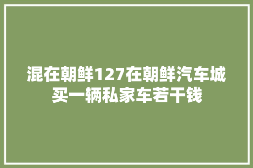 混在朝鲜127在朝鲜汽车城买一辆私家车若干钱