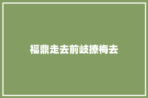 福鼎走去前岐撩梅去