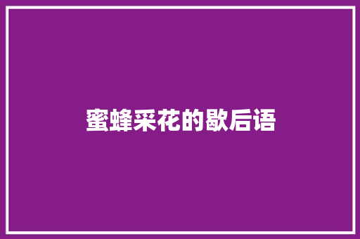 蜜蜂采花的歇后语 知识百科