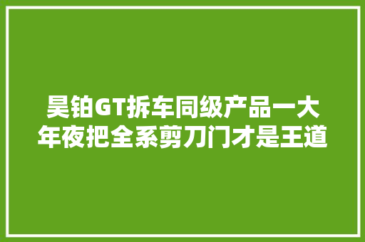 昊铂GT拆车同级产品一大年夜把全系剪刀门才是王道