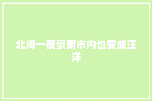 北海一夜豪雨市内也变成汪洋