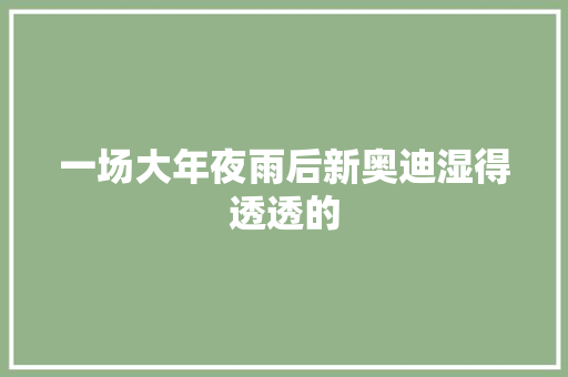 一场大年夜雨后新奥迪湿得透透的