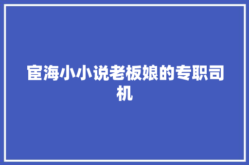 宦海小小说老板娘的专职司机