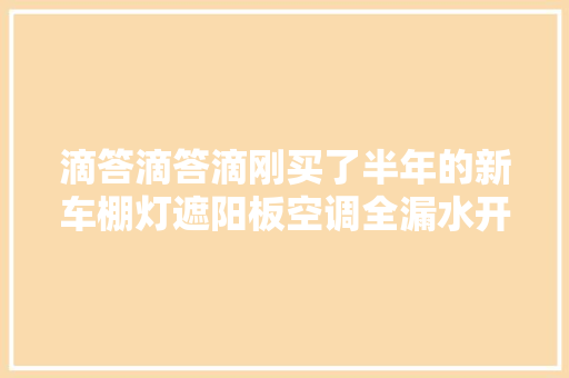 滴答滴答滴刚买了半年的新车棚灯遮阳板空调全漏水开的是水帘洞