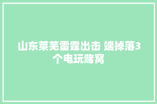 山东莱芜雷霆出击 端掉落3个电玩赌窝