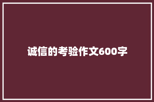 诚信的考验作文600字