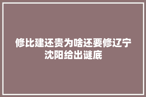 修比建还贵为啥还要修辽宁沈阳给出谜底