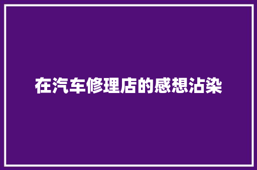 在汽车修理店的感想沾染
