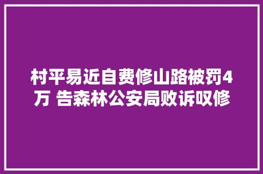村平易近自费修山路被罚4万 告森林公安局败诉叹修路价值太沉重 汽车知识