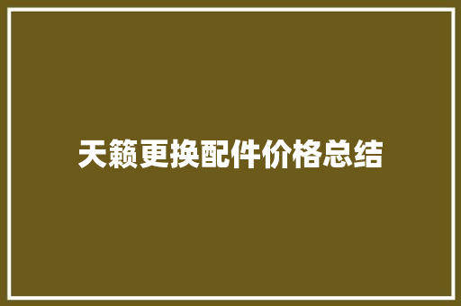 天籁更换配件价格总结