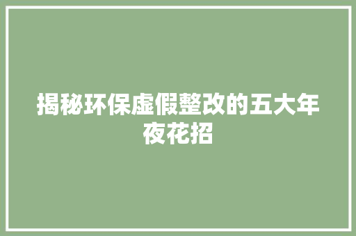 揭秘环保虚假整改的五大年夜花招