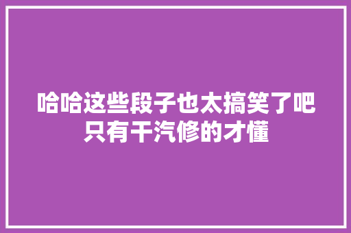 哈哈这些段子也太搞笑了吧只有干汽修的才懂