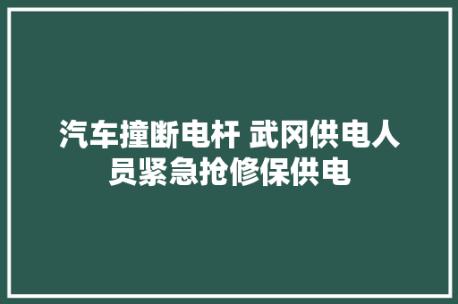 汽车撞断电杆 武冈供电人员紧急抢修保供电
