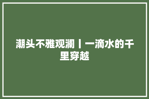 潮头不雅观澜丨一滴水的千里穿越