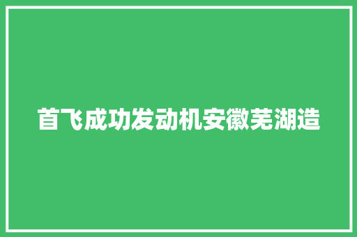 首飞成功发动机安徽芜湖造