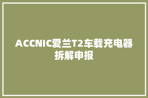 ACCNIC爱兰T2车载充电器拆解申报 汽车知识