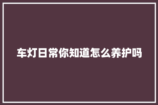 车灯日常你知道怎么养护吗