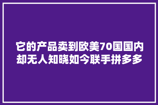 它的产品卖到欧美70国国内却无人知晓如今联手拼多多从新创业
