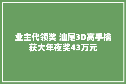 业主代领奖 汕尾3D高手擒获大年夜奖43万元